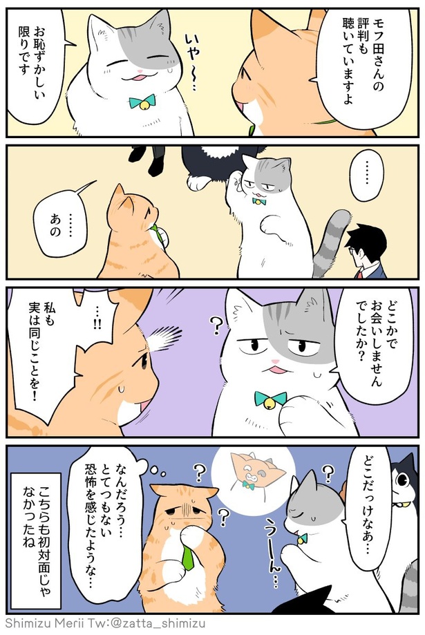 お互いに見覚えがある猫たちだが…!? 3-3