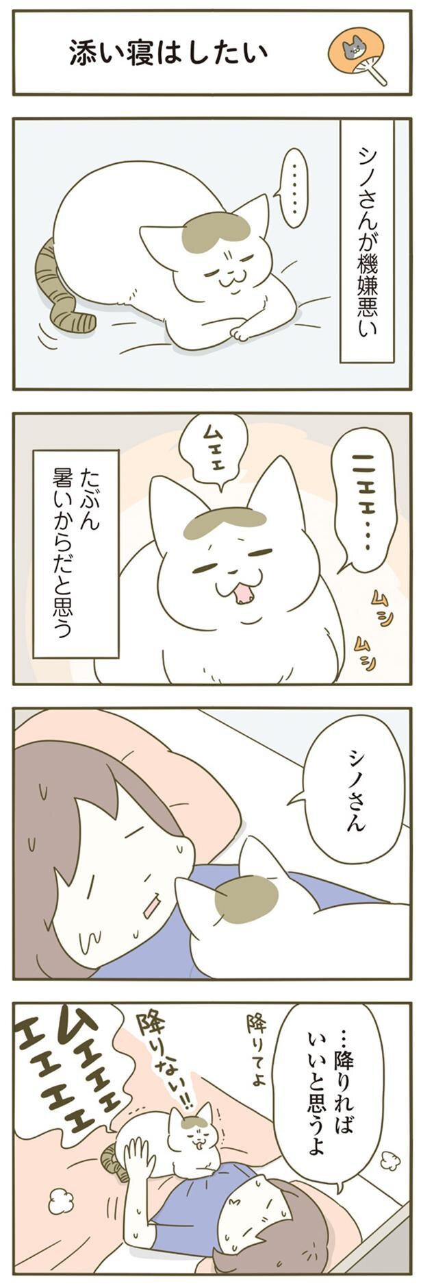 …降りればいいと思うよ （C）卵山玉子／KADOKAWA