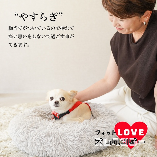 愛犬の介護用おむつもサニタリー用パンツも、おしゃれ用のスカートも、「ズレヘンダー」があればもうズレへんで！