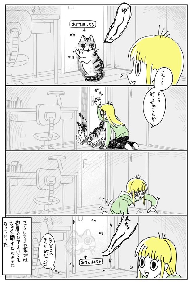 「開けてほしいネコ」02