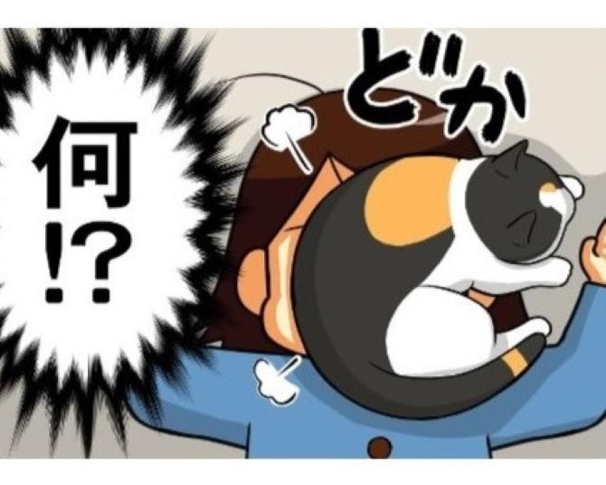 猫好きにとっての“高級まくら”とは？「たまに窒息」「噛む!?」気難しいまくらだが「天国かよ!!」【作者に聞く】