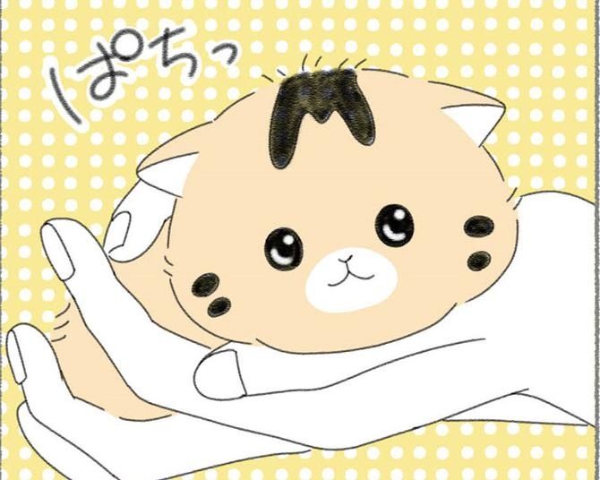 【ネコ漫画】生後間もない子猫を育てる苦労と喜びを聞いてみた。「初めてのうんちに安心と感動で涙が…」