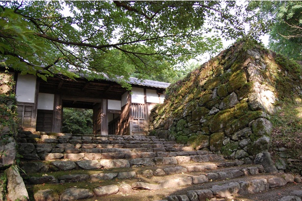 福岡観光ガイド 筑前の小京都 で四季の風景とともに歴史散策 秋月城跡 ウォーカープラス