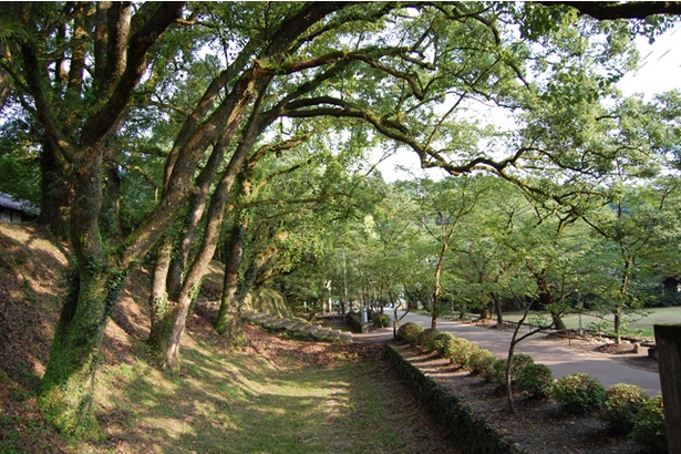 福岡観光ガイド 筑前の小京都 で四季の風景とともに歴史散策 秋月城跡 ウォーカープラス