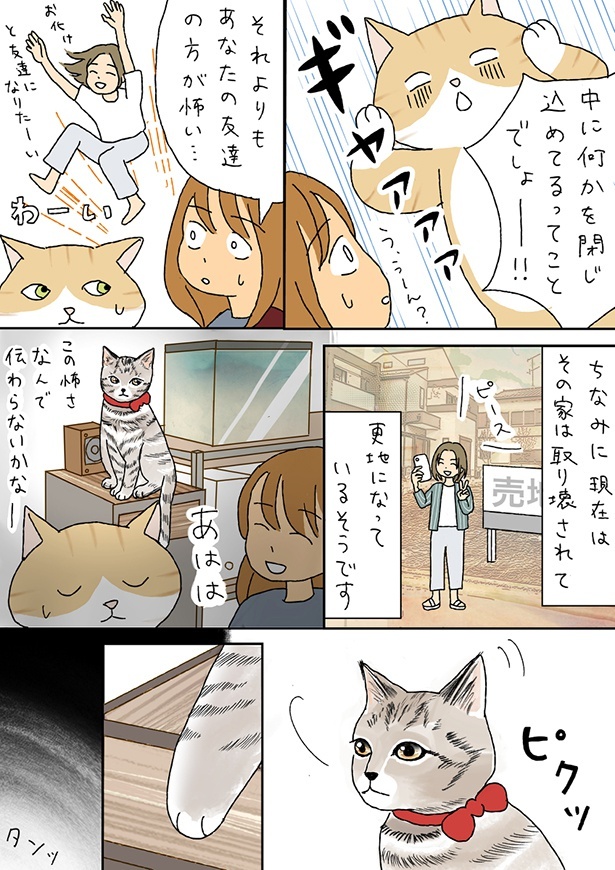 2人の会話の後ろでマロちゃんが何かに気づいたようで…