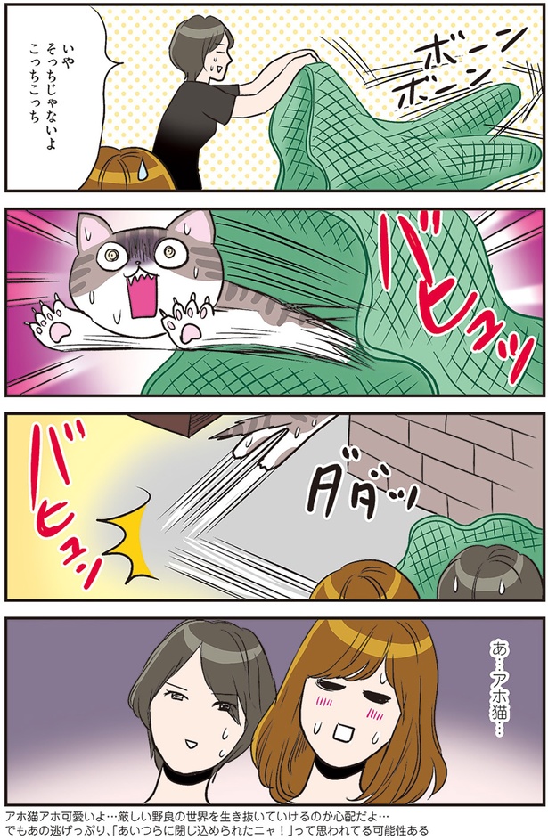 あ…アホ猫… （C）カマタミワ／KADOKAWA