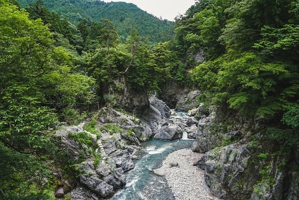 大多摩ウォーキングトレイル(多摩川)