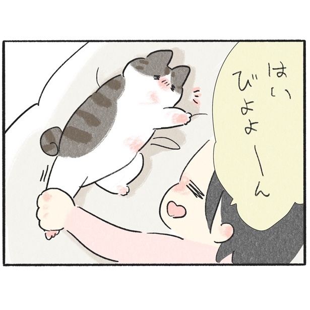 くろもとぽんず～うちの猫がかわいすぎる！～より