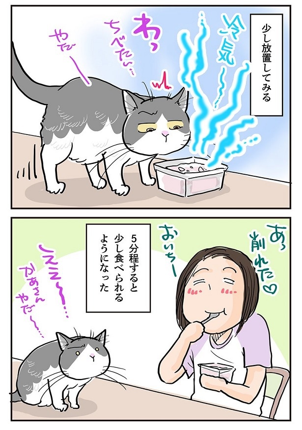 冷え冷えアイスにポッちゃんは興味津々だが…