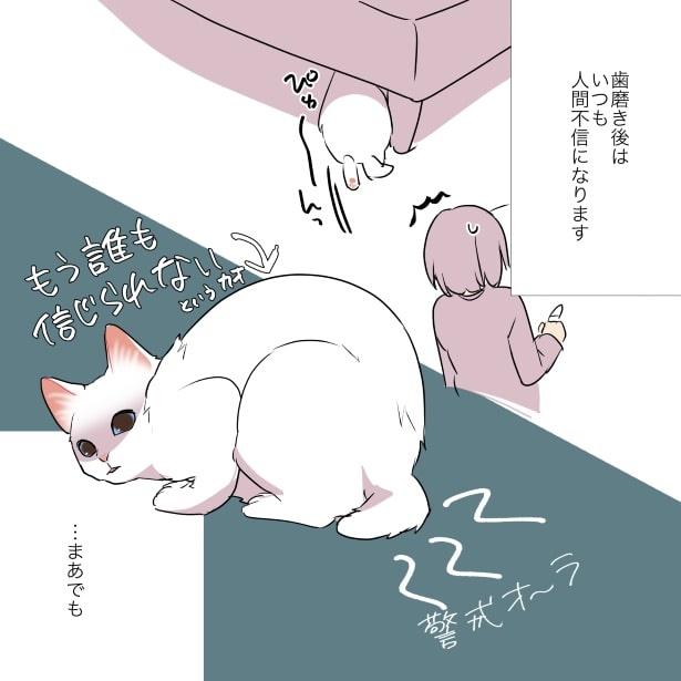 猫あるある_猫様の歯磨きは難しいP02