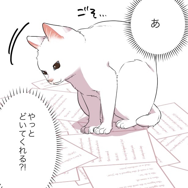 猫あるある_猫のお気に入りスポットがままならない話P03
