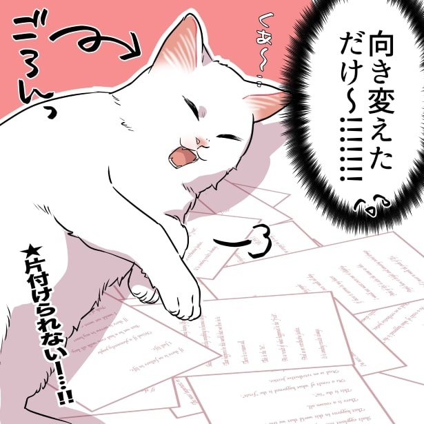 猫あるある_猫のお気に入りスポットがままならない話P04