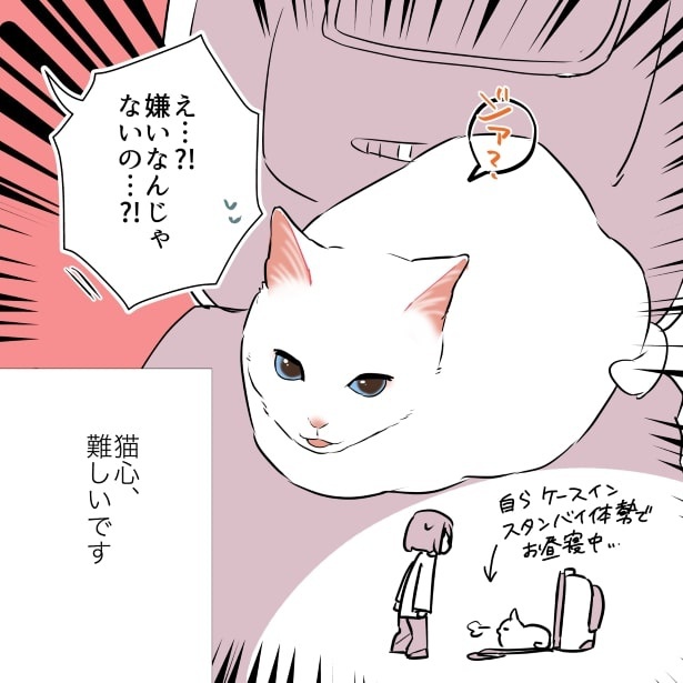 猫あるある_猫のお気に入りスポットがままならない話P12
