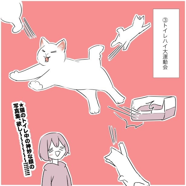 猫あるある_猫のトイレ中の神妙な顔が好きって話P04