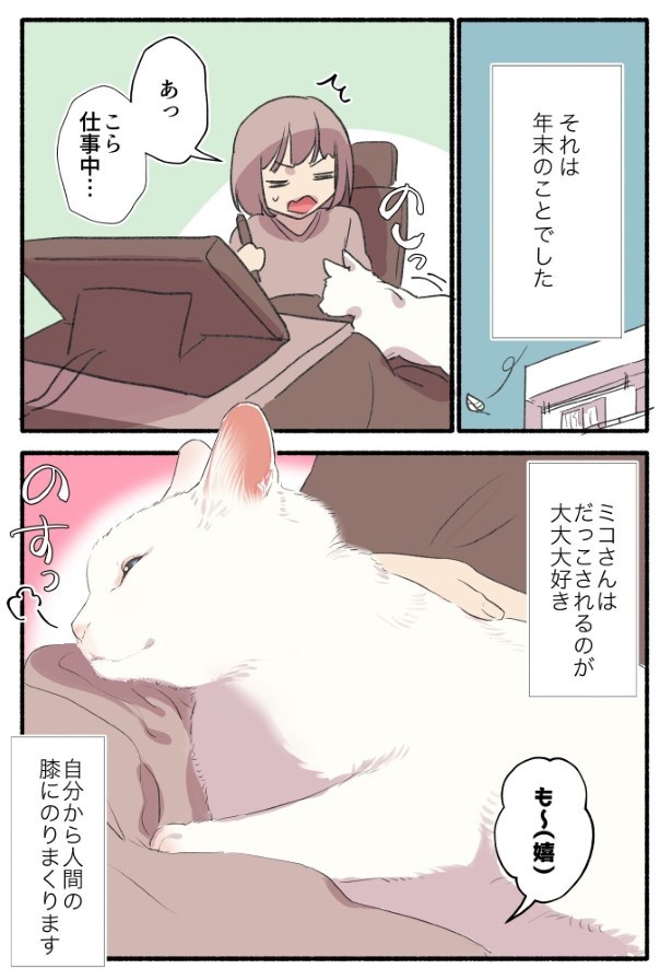 白い猫と暮らしている漫画11話_P001
