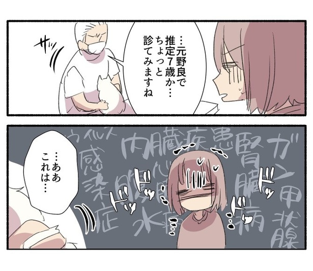 白い猫と暮らしている漫画11話_P005