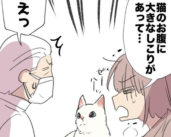 【ねこ漫画】「猫のお腹に大きなしこりが!!」愛猫に異変!?年末の動物病院にギリギリ滑り込んだ話【作者に聞く】