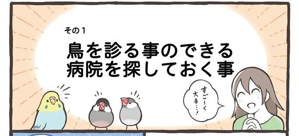 「小鳥をお迎えする前に知っておきたいこと」4/18
