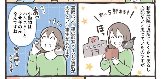 「小鳥をお迎えする前に知っておきたいこと」5/18