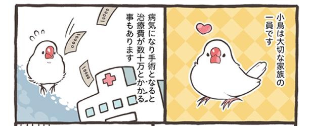 「小鳥をお迎えする前に知っておきたいこと」16/18