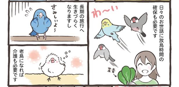 「小鳥をお迎えする前に知っておきたいこと」17/18