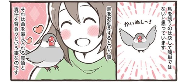 「小鳥をお迎えする前に知っておきたいこと」18/18