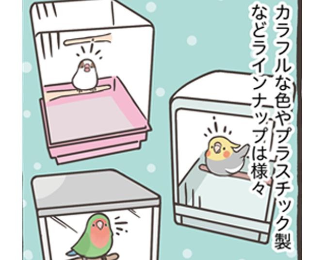 【漫画】小鳥のケージの置き場所はどこがベスト？鳥さんをお迎えする時に準備したい飼育グッズを獣医師が解説