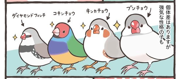 「お迎えできる鳥さんを紹介」5/24