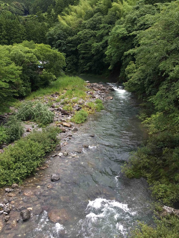 近くを流れる川の水は澄んでいると評判