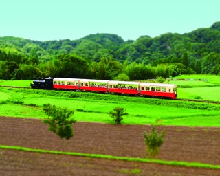 【秋の1dayトリップ】懐かしの景色を行くトロッコ列車でタイムトラベルの旅へGO!