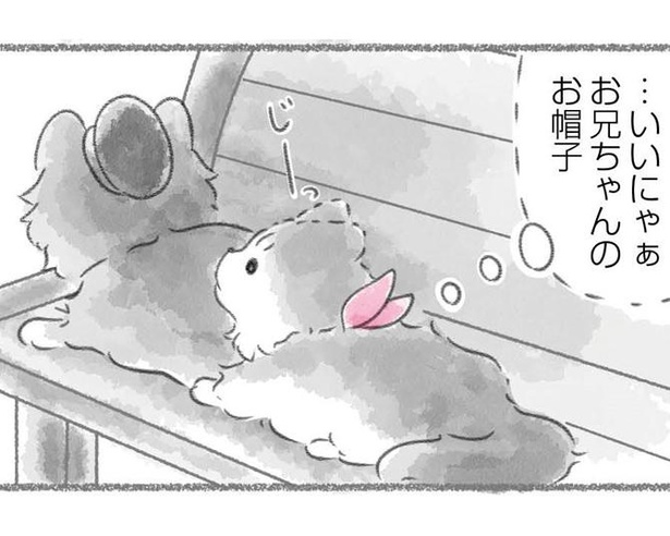 「にゃん旅鉄道～さくらの物語」より