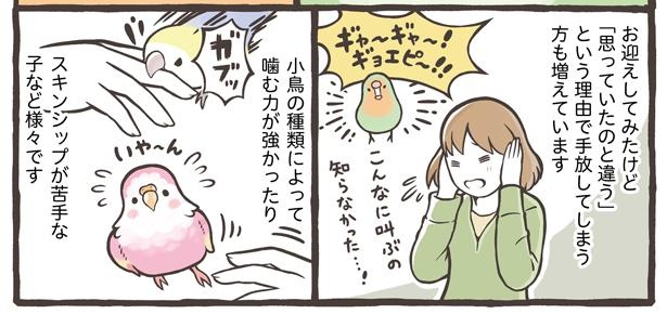 ただかわいいだけではない小鳥。一緒に暮らすデメリットもきちんと知ったうえで、お迎えしよう