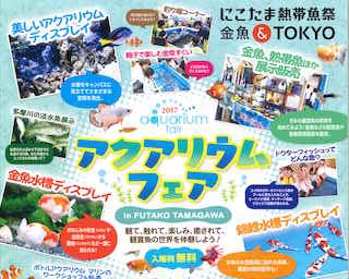 観て、触れて、癒されて…「アクアリウムフェア2017 in FUTAKO TAMAGAWA」
