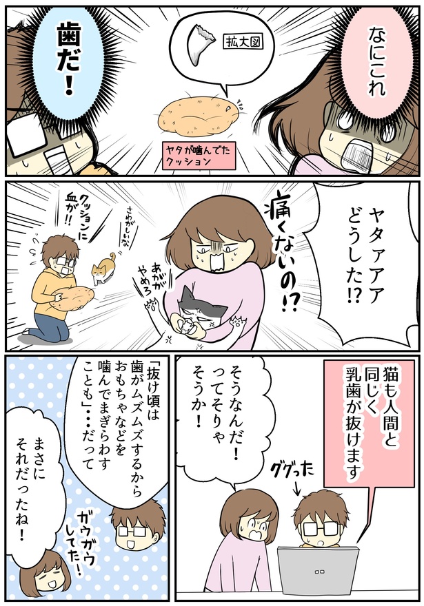 02 画像提供：海原こうめさん