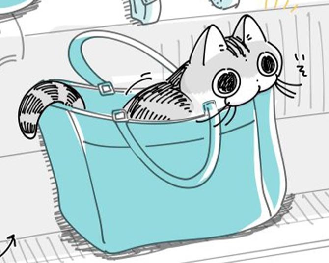 【ネコ漫画】飼い主のカバンにこっそり入る姿がかいわいすぎる!?「うちの猫もやる」などSNSで共感の声多数