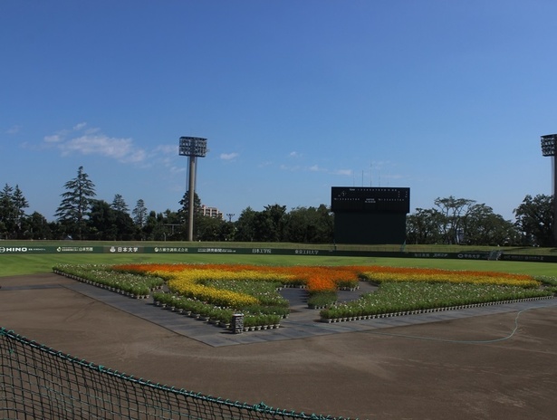 画像2 10 八王子の街が巨大な庭園に 全国都市緑化はちおうじフェア 直前レポ ウォーカープラス