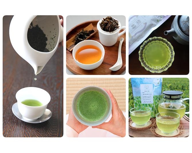 飲み比べ体験や茶道体験で日本茶の最前線に触れる！「日本茶コレクション2024 」が開催