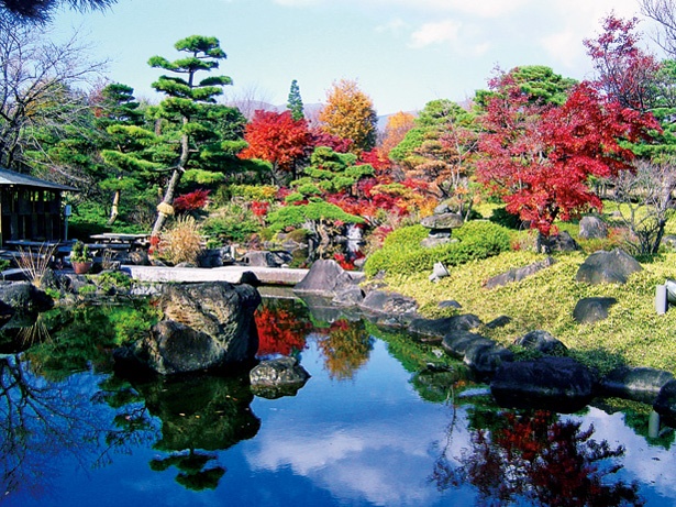 紅葉が見逃せない日本庭園。庭園の外周には万葉集で歌われている植物も