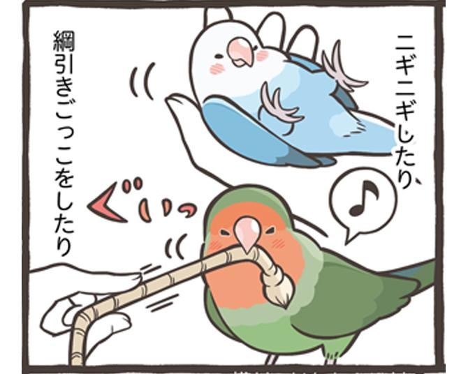 「ペットの鳥さんとの信頼関係は築けるの？」鳥さんによって違う個性を理解し、時間をかけてコミュニケーションを取ろう。