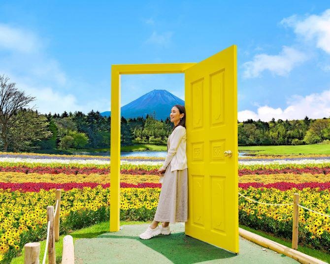 富士山とカラフルな花々が共演する「虹の花まつり」が開催中！今年のテーマは「ひと足早い、秋を感じる。」