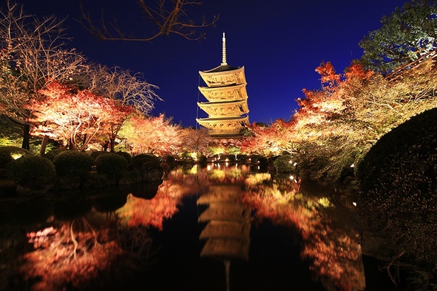 国宝・五重塔と紅葉のコラボレーションが見事な「東寺」