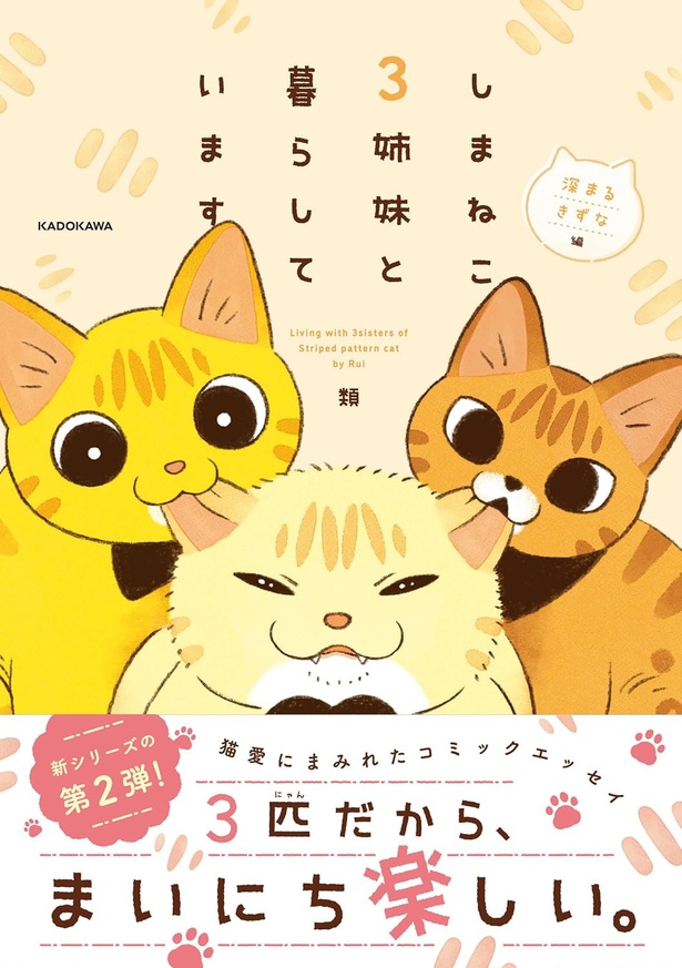 『しまねこ3姉妹と暮らしています 深まるきずな編』