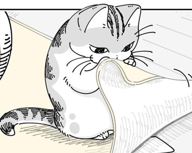 【ネコ漫画】家のカーペットをぺらりとめくる愛猫!?かわいすぎる仕草に「癒やされる」など共感コメント続出