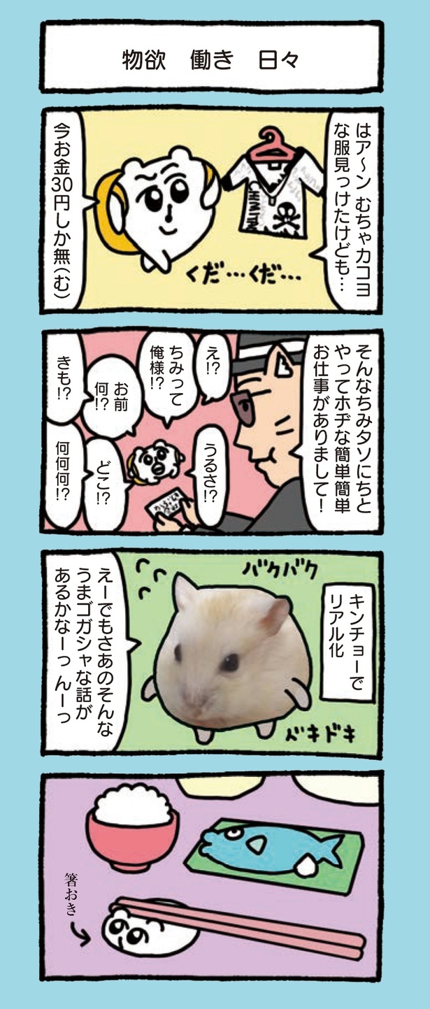5章「ちみたん人生色々じゃわてな」(9/12)