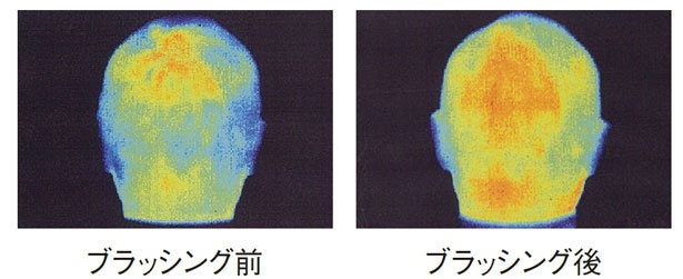 スカルプブラシでブラッシングを行なうことで頭⽪温度が2℃上昇