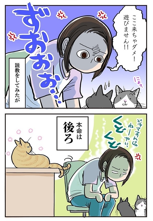 ポッちゃんと朔ちゃんにお説教をしていると…いつの間にかミルが机に!!