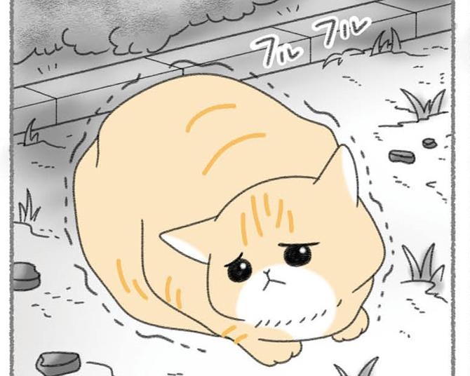 【ネコ漫画】公園で子供たちにいじめられていた猫。怒りと悲しみで胸がいっぱいになり、保護を決意。「迷いは一切なかった」