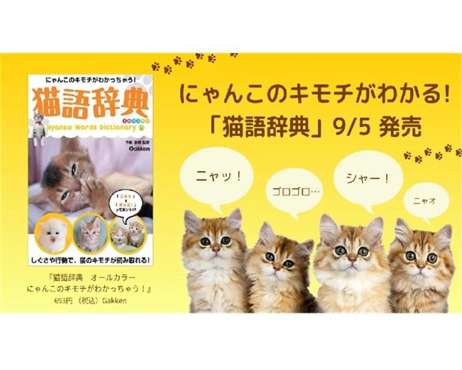 しぐさや行動で猫の気持ちがわかる！「猫語辞典」発売