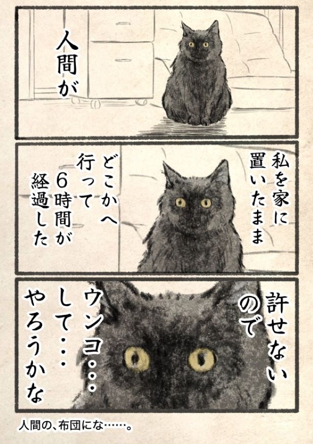 【漫画】初めてのお留守番で猫は？ 画像提供：キジネコ様(@Motidukineko)