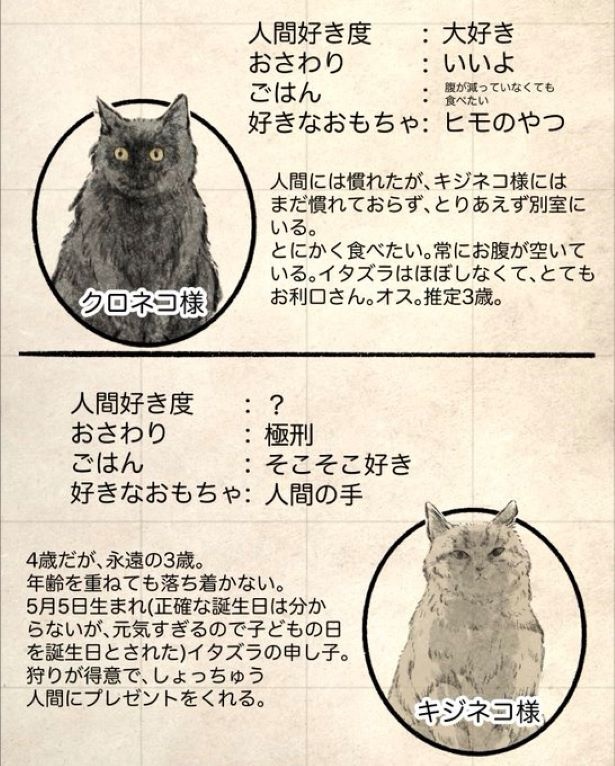 ネコだよッ！！2